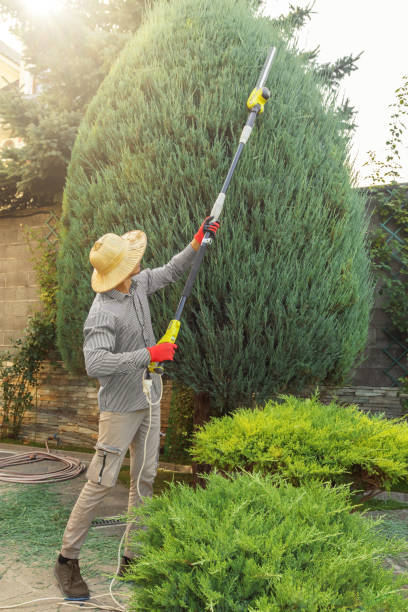 Mulching Services in Aptos, CA